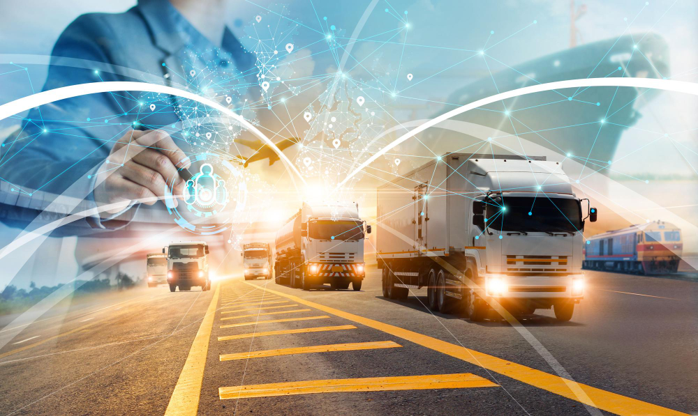 Well Established Profitable Transport Business For Sale in DIP