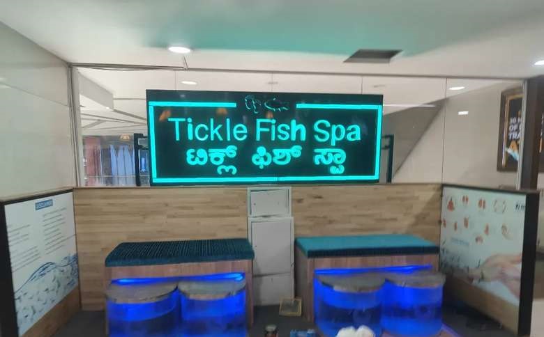 🐠 Fish Spa Business for Sale in Bengaluru, Karnataka