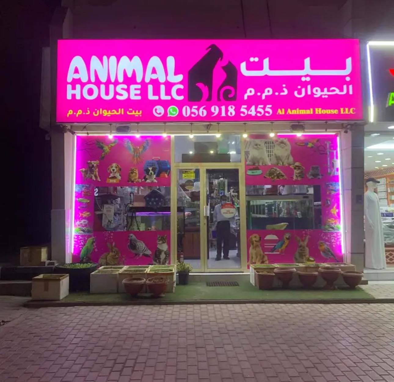  Pet Shop for sale at RAK - UAE, with 15 Years of Reputation 